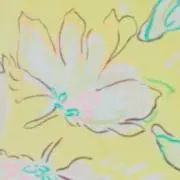 melonsodaの画像