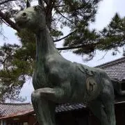 電キュウ