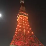 538の画像