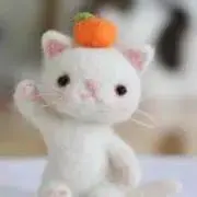 みかんの画像