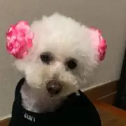 ももmama