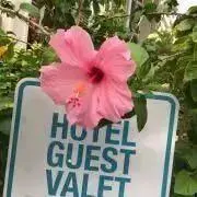 non★ 7/15～16発送休みの画像