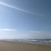 kanaの画像