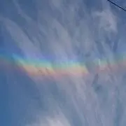 化け猫ちーたんの画像