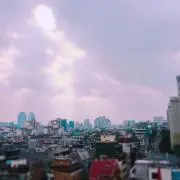 Sの画像