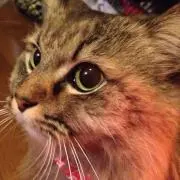 ボーちゃん