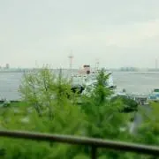 sｕzｕkａの画像