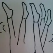 mの画像