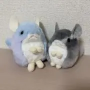 もちの画像