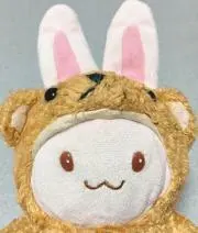 うさママ☆プロフ必読洋服DVD楽譜出品中の画像