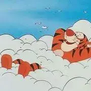 ぴの画像