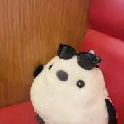 ぴのの画像