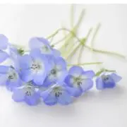 はる♡即日発送いたします❣️の画像