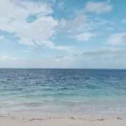 Ashuの画像