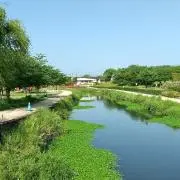 はるの画像