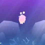 chitoの画像