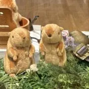 uの画像