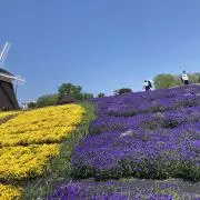 ルイーゼ