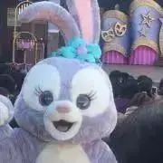 ぽむの画像