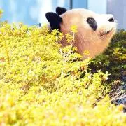ナオコの画像