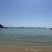 キウイ