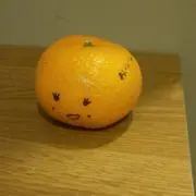 みかんの画像