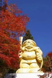 一期一会　翌日までに発送いたしますの画像