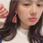 ニコの画像