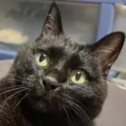 ほのの画像