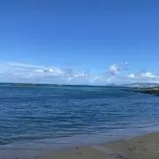 はなはな⭐︎断捨離中の画像