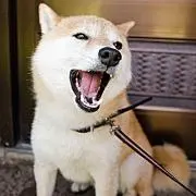 でで