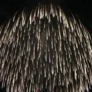 【割引交渉OK】さかなの画像