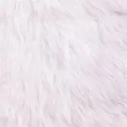 にゃんぷの画像