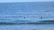 カリフの画像