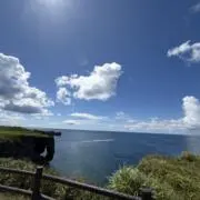 ゆうの画像