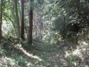 Satoyamaの画像