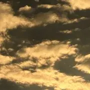 かの画像
