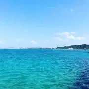 トモトモの画像