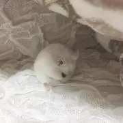 kana♡まとめ買い大歓迎♡の画像