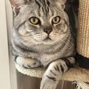 Image of ✨✨なな✨✨