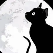 Lunarの画像