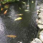 melonお気軽に希望額ご提示ください！の画像