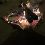 うんたんの画像