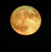 Moondrop MKT☆の画像