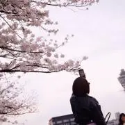 ゆゆ★即購入OK！翌日中に発送！の画像