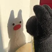 Rの画像