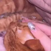 モモンガ