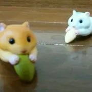 nanakoの画像