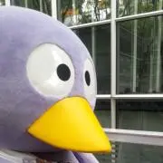 ましろ