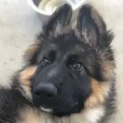 たかたか